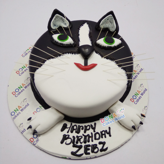 easy cat face cake
