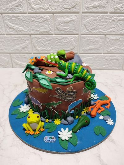 Insect Theme Cake